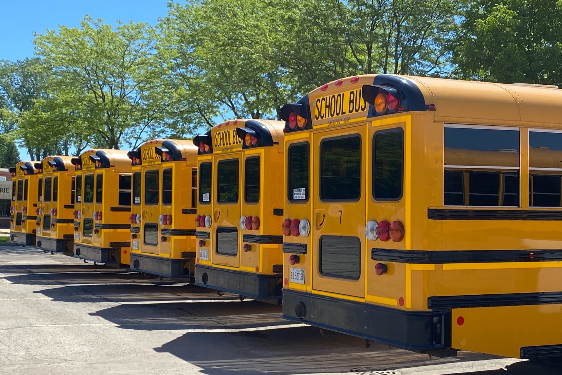 Kidology Tutoring - School Transportation School Transportation